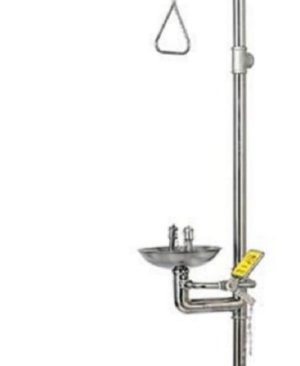 Combination Eye Wash shower